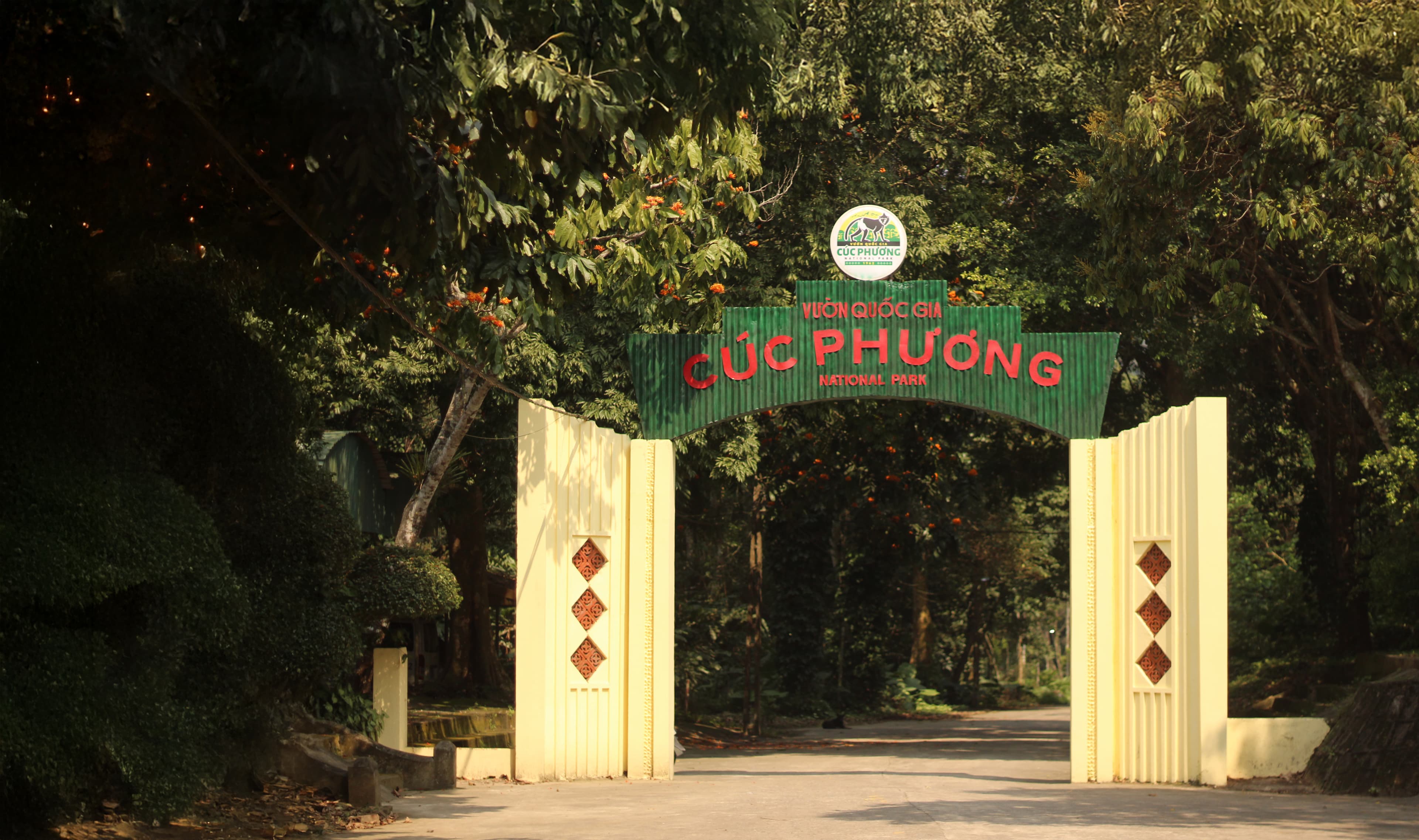 Cuc Phuong National Park Scene 4