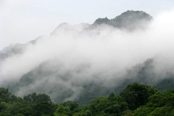 Cuc Phuong National Park