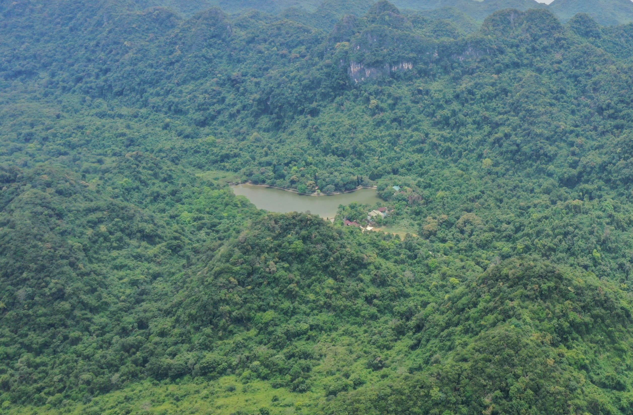 Cuc Phuong Tours Background