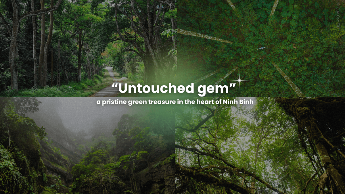 Cuc Phuong – A Hidden Gem in Vietnam's Ecotourism Map
