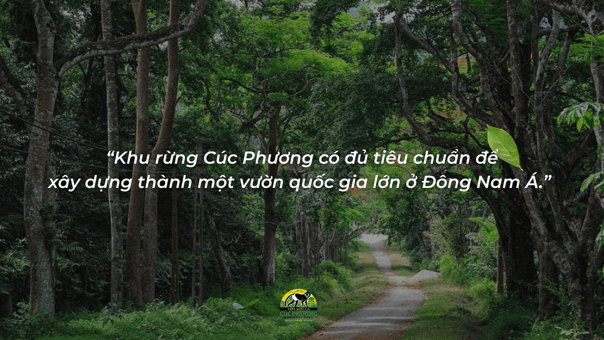 Giai đoạn hình thành ý tưởng
