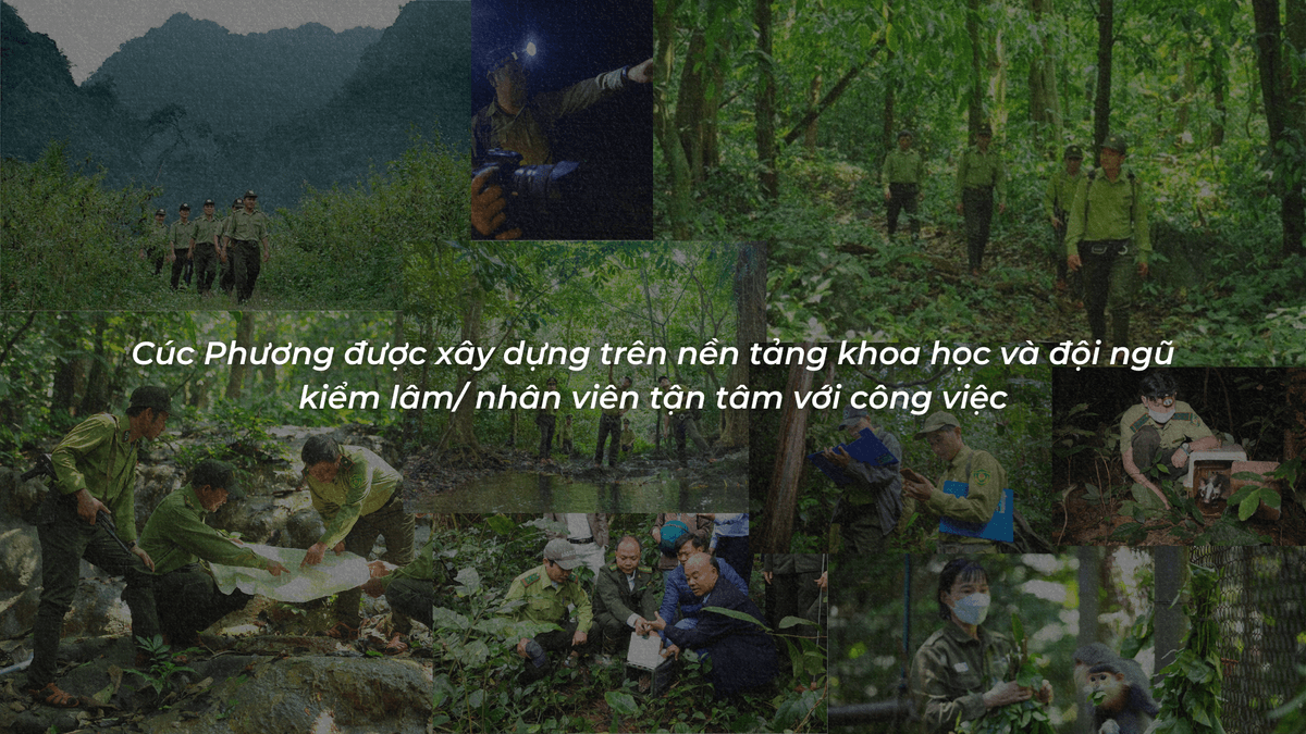 Giai đoạn xây dựng nền móng khoa học