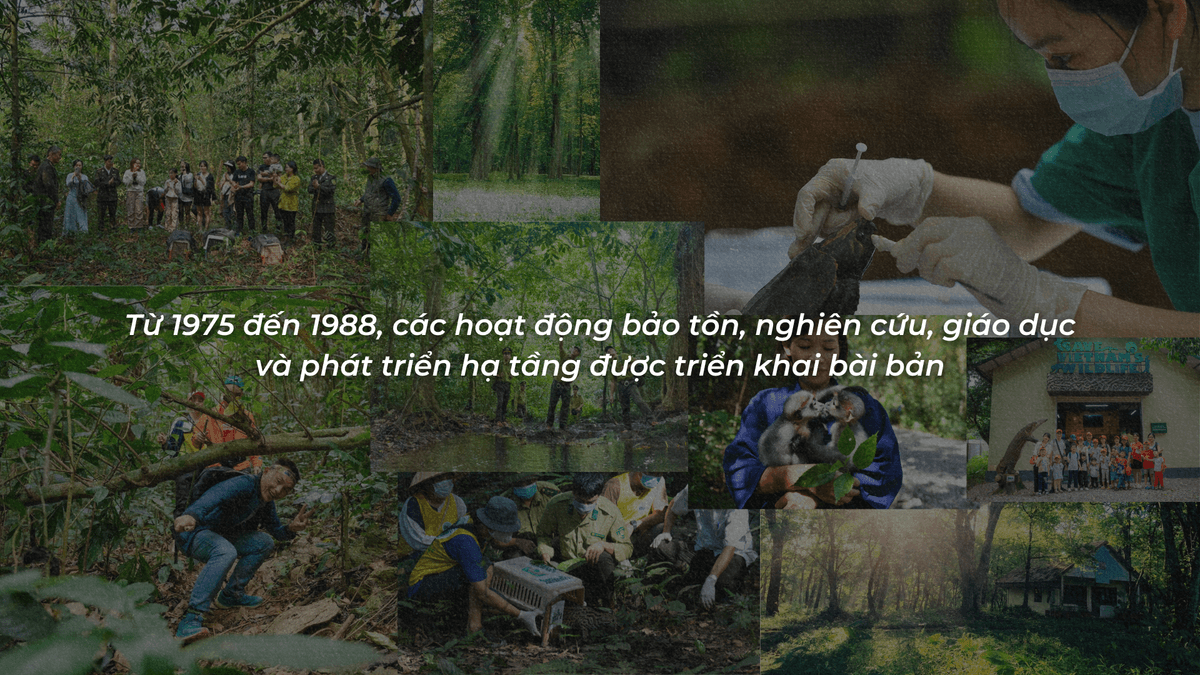 Định hình quản lý bài bản