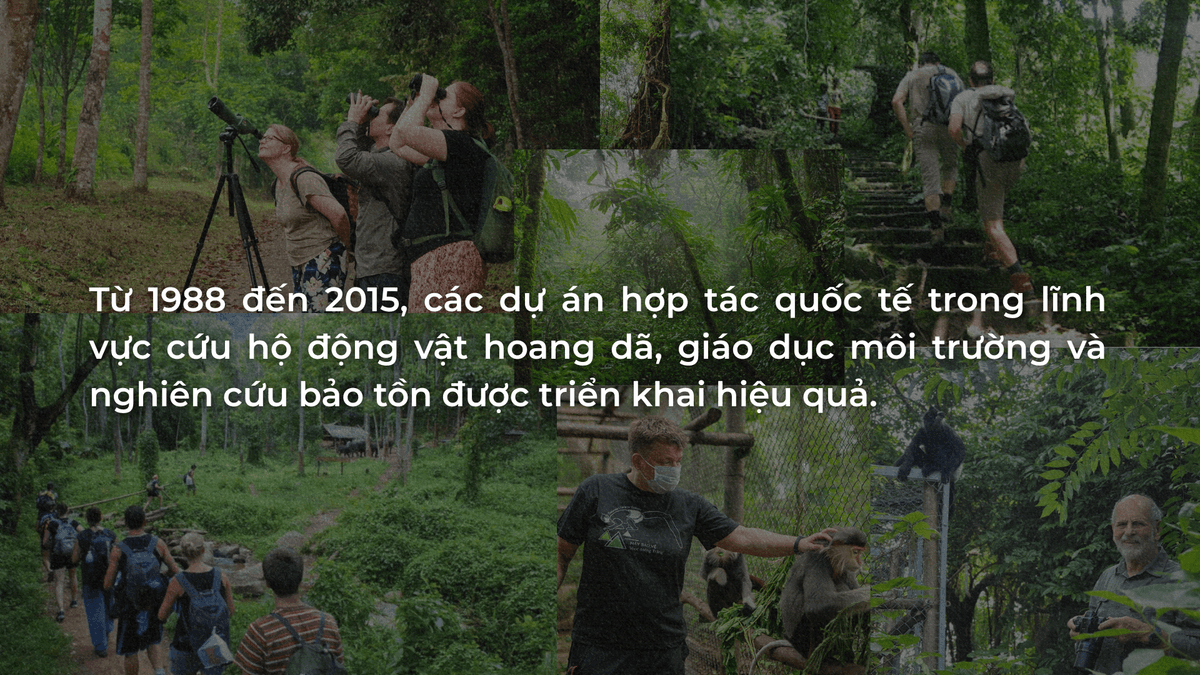 Mở rộng hợp tác quốc tế, phát triển du lịch sinh thái