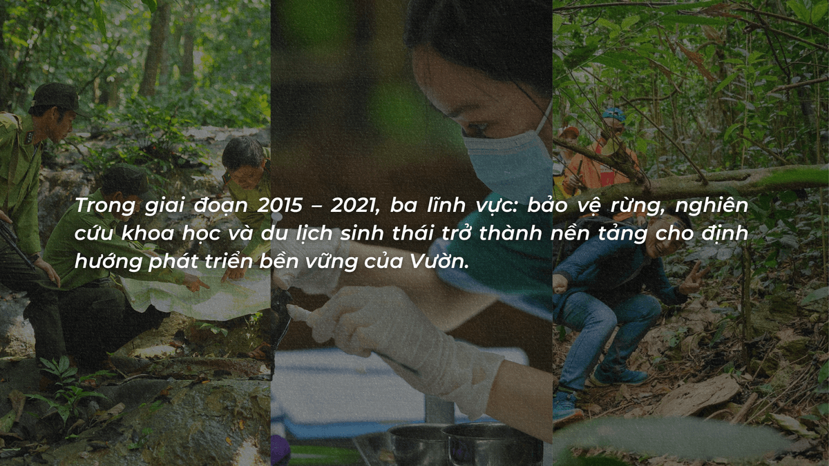 Củng cố và định hình chiến lược phát triển