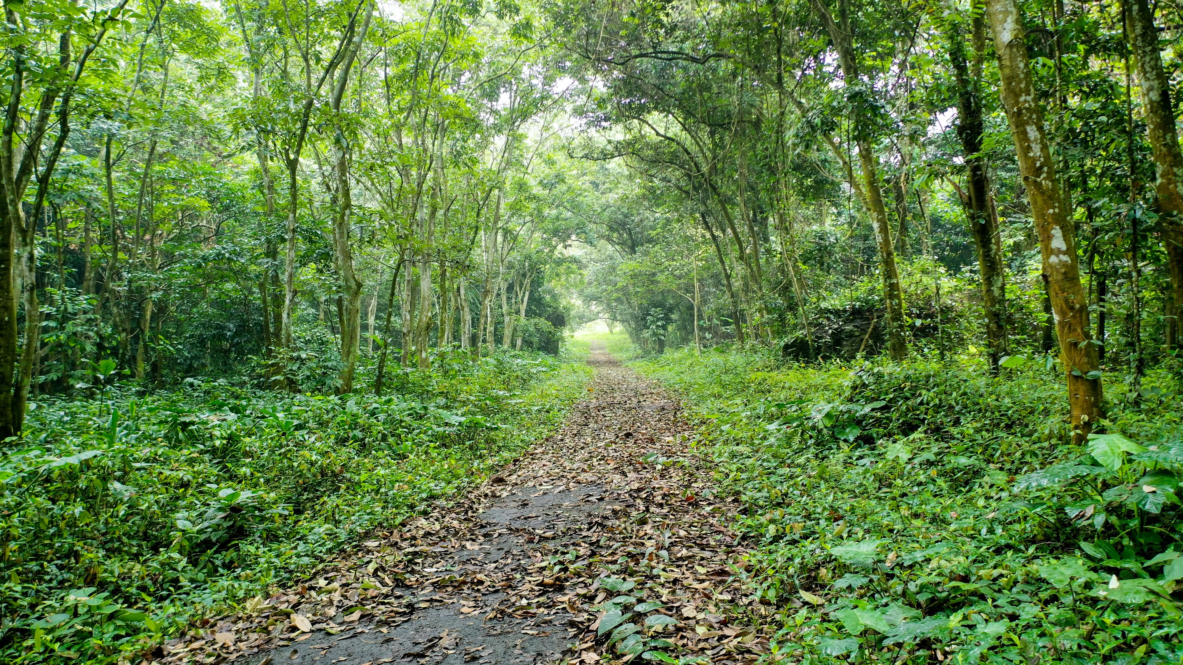Image from gallery