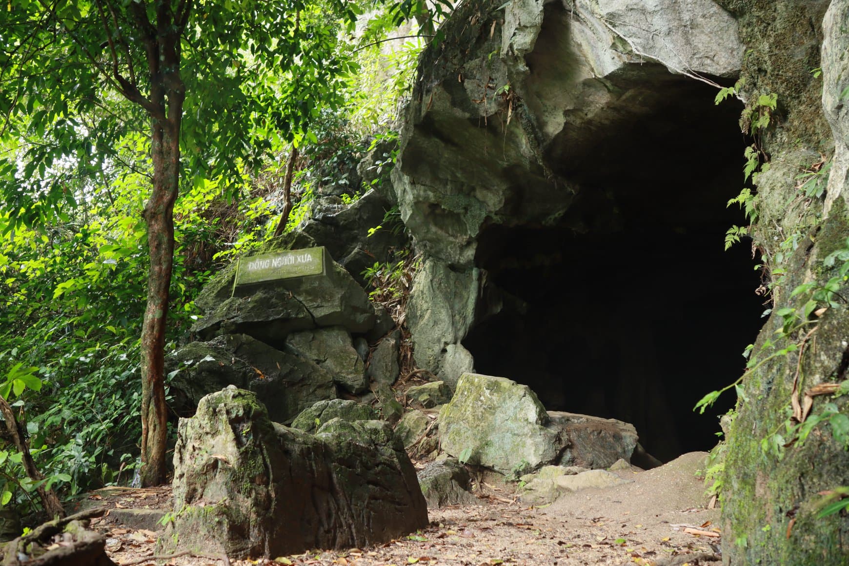 Explore Cultural and Historical Landmarks in Cuc Phuong