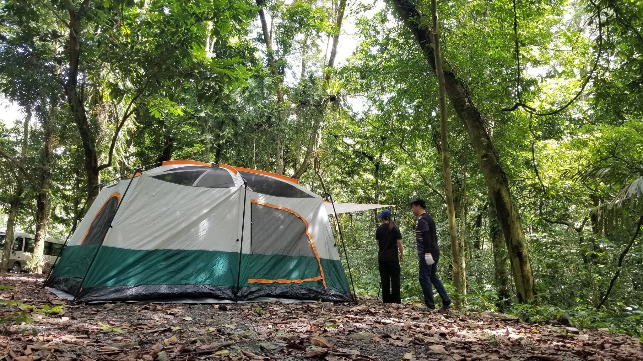 Jungle Camping: Embrace the Wilderness