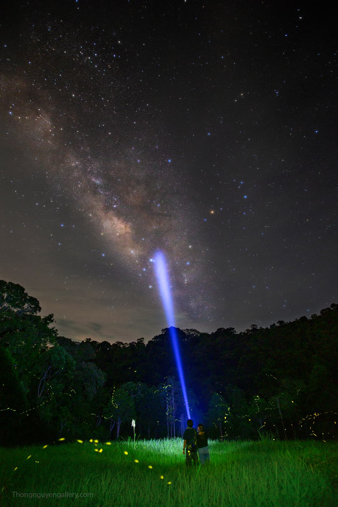 gallery.imageAlt.firefly1