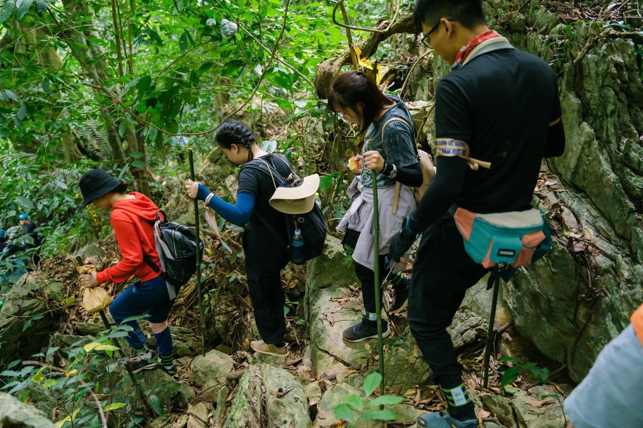 Trekking Adventures