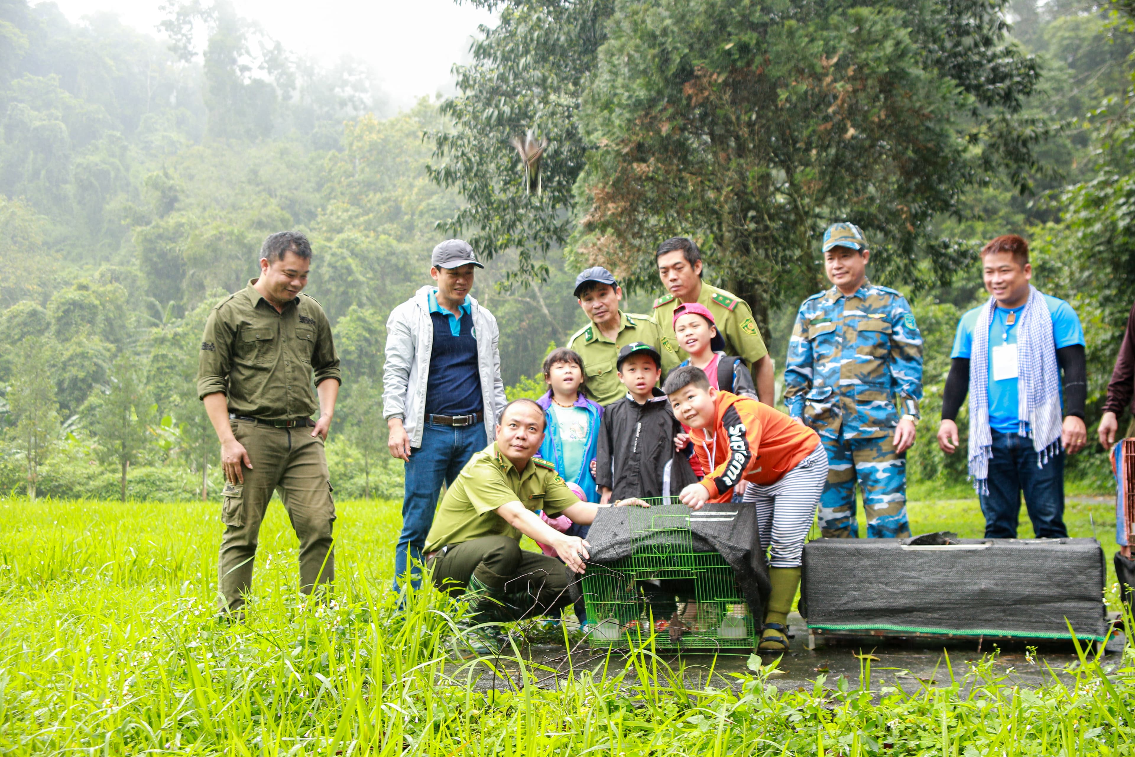 Volunteer Activities