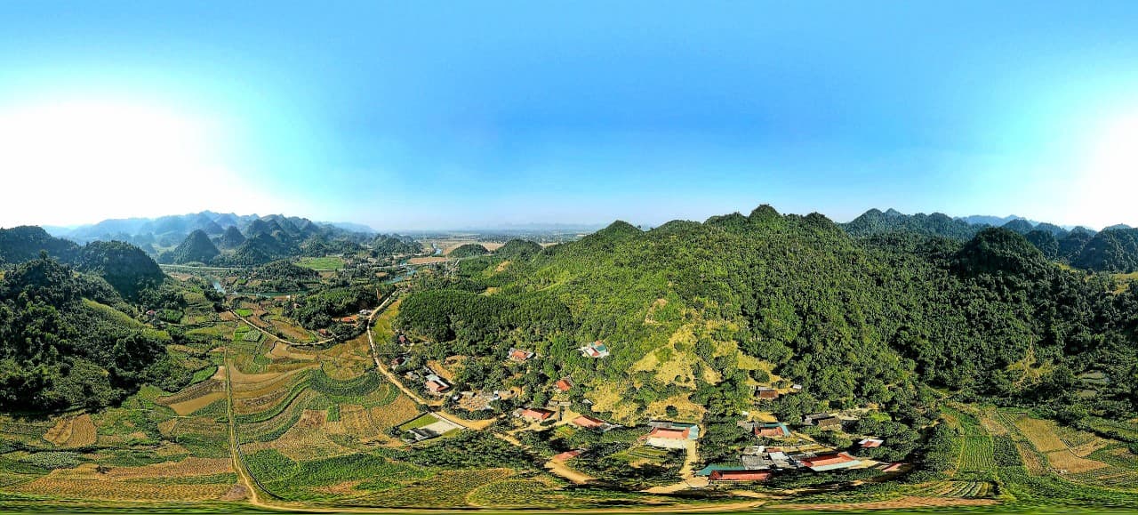 Ancient Sấu Tree Trail
