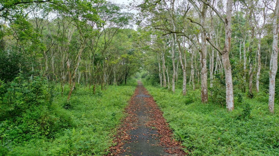 gallery.imageAlt.trekkingGardenGate1