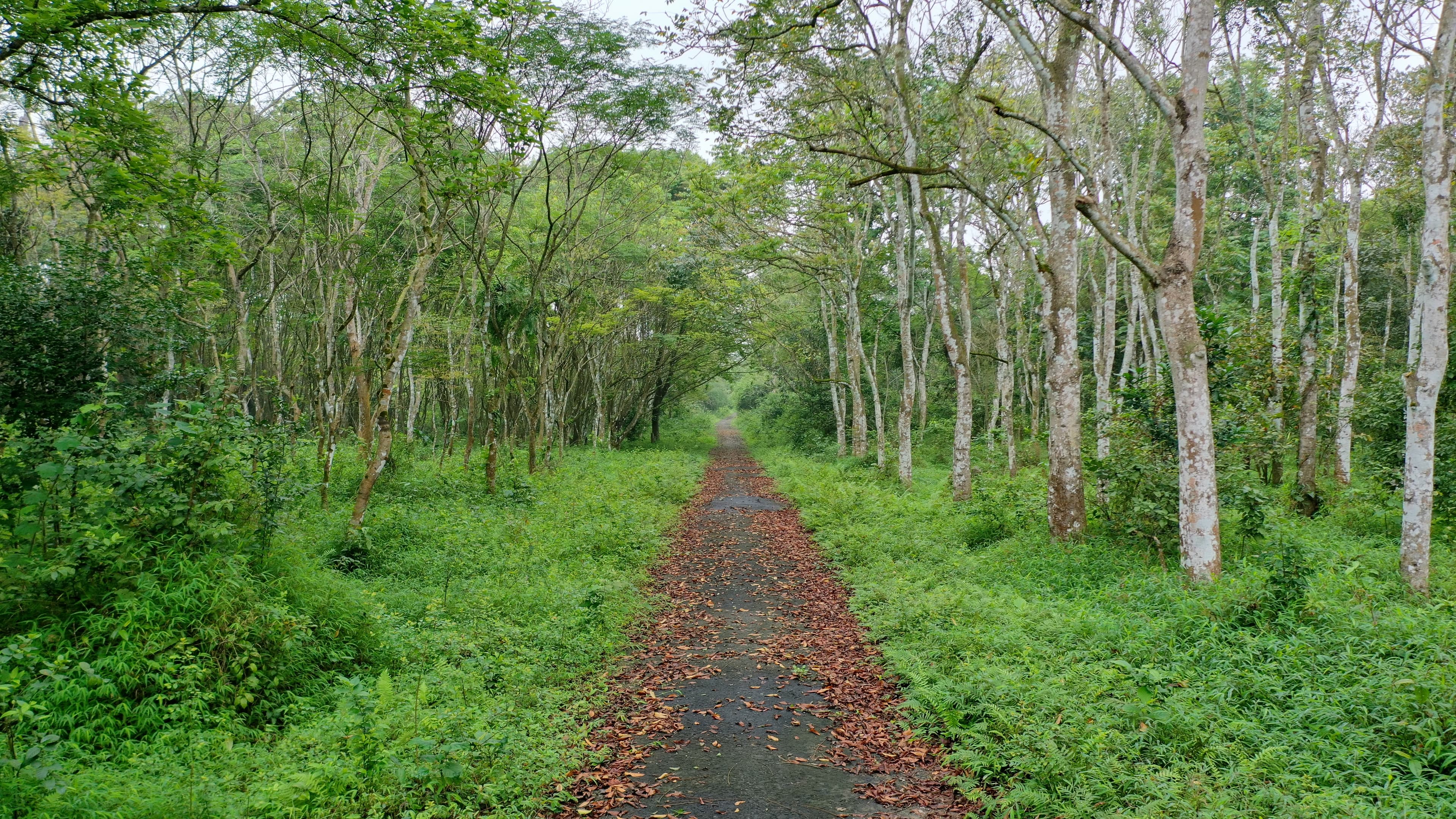 Botanical Garden Trail