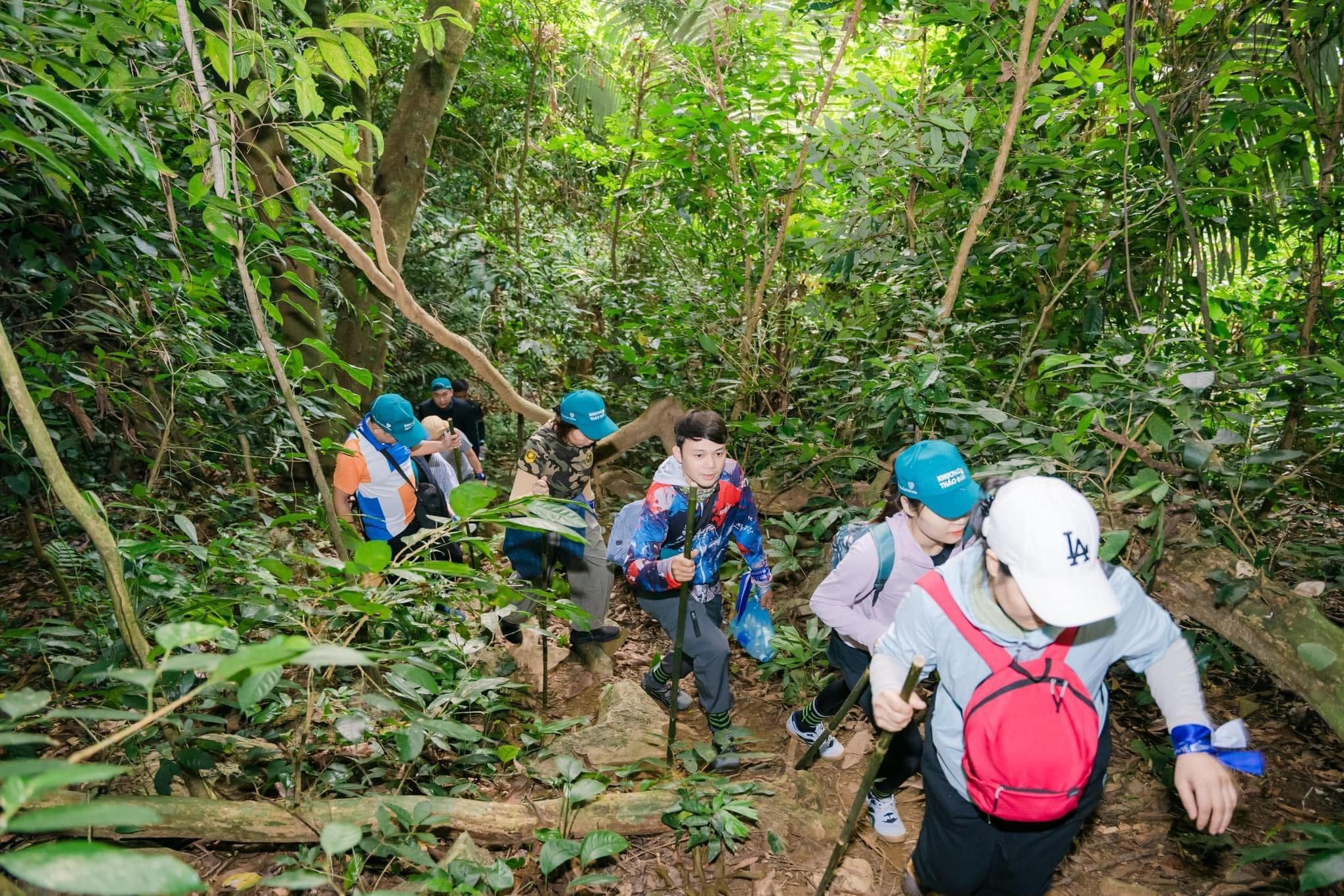 Mountain Climbing for a Panoramic View