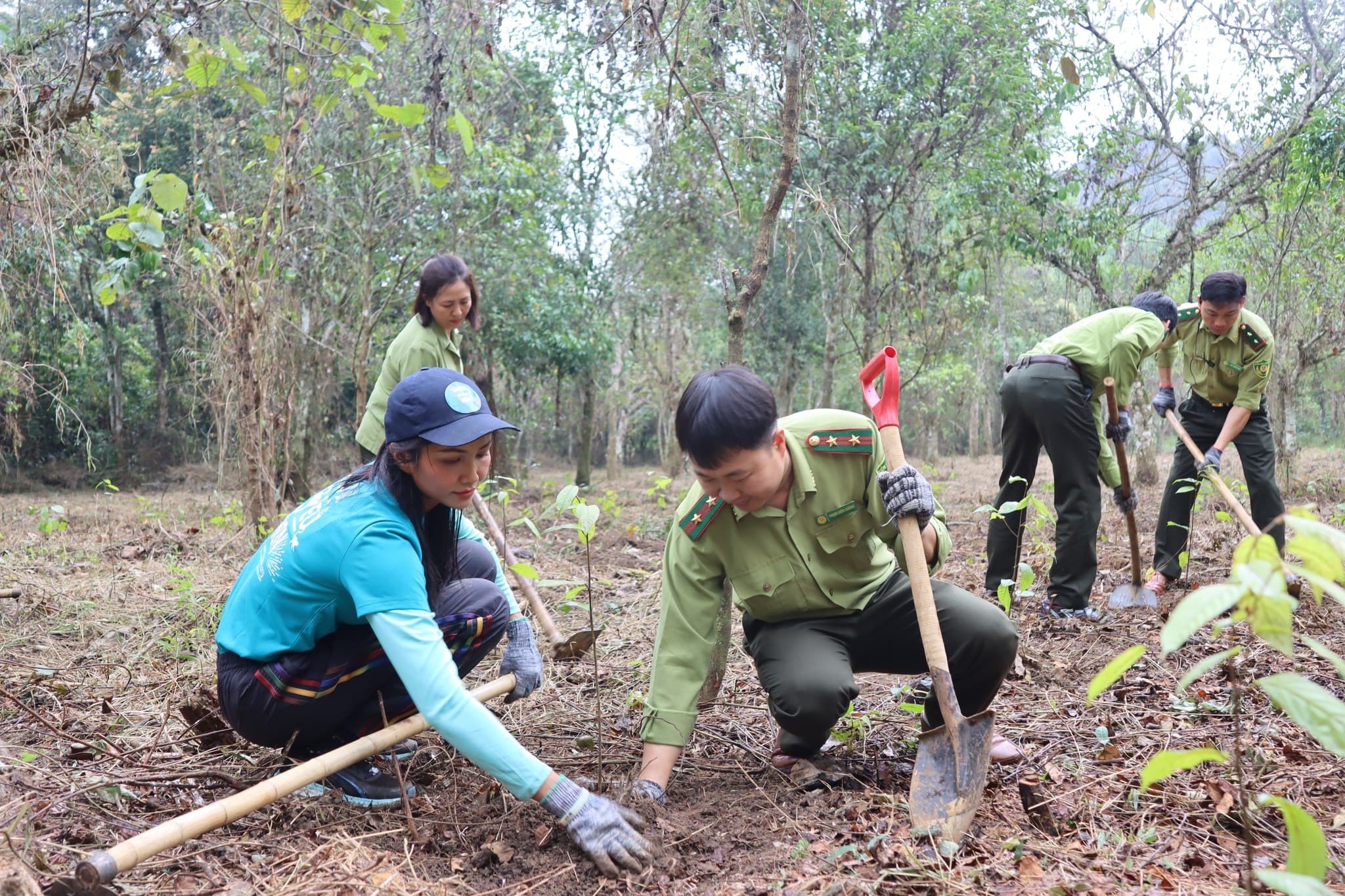 Planting trees in Cuc Phuong National Park
