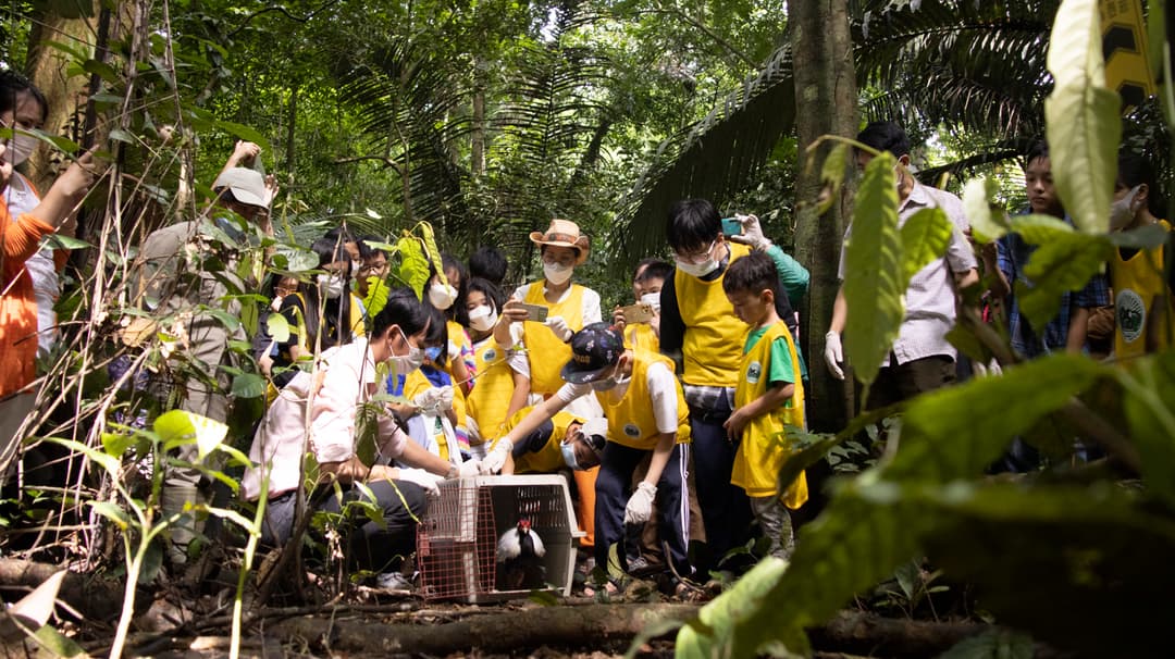 gallery.imageAlt.volunteer1