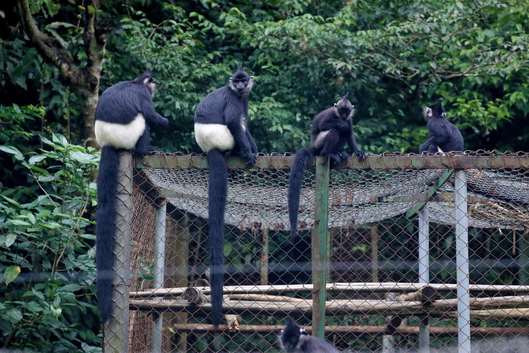 gallery.imageAlt.wildlife1