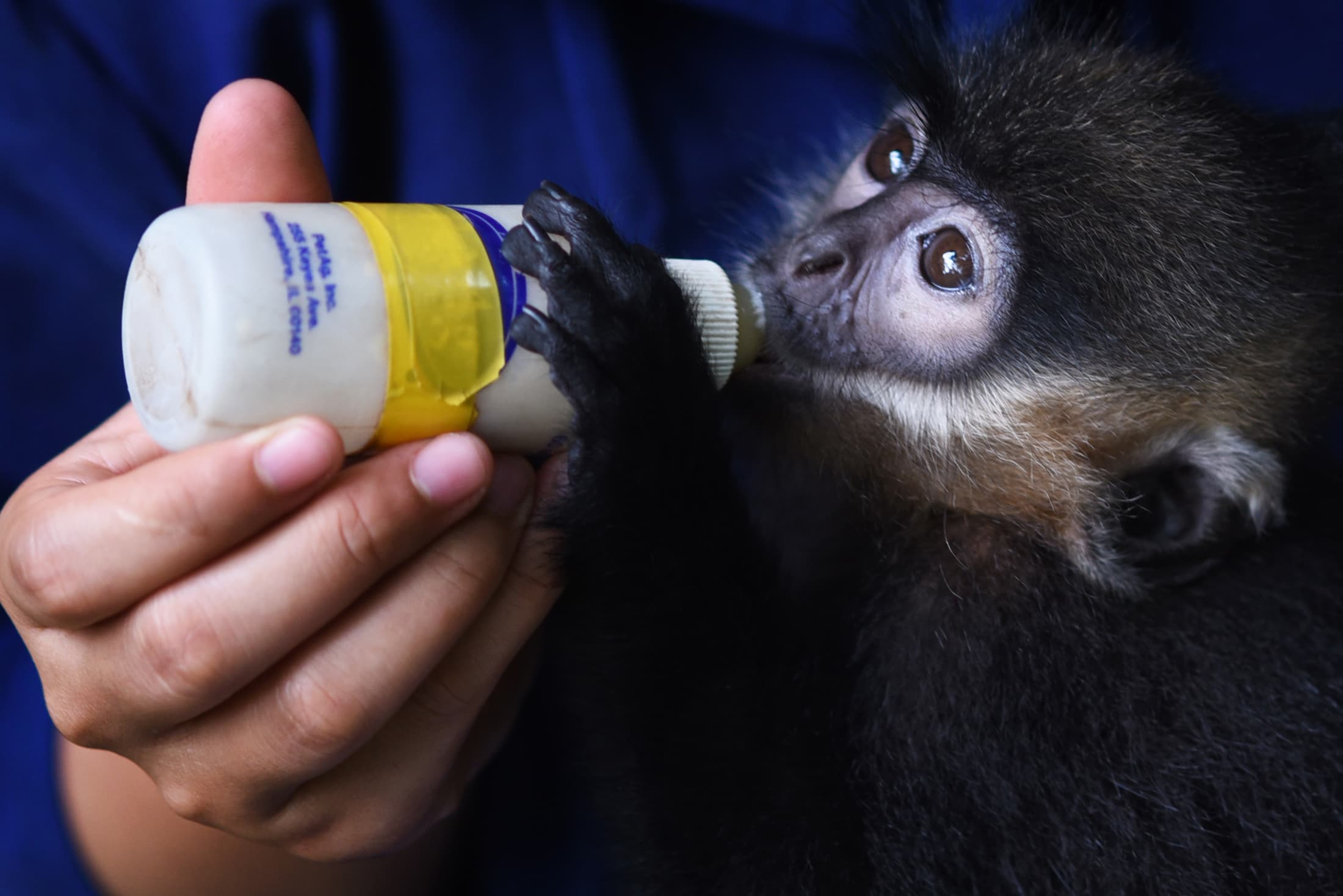 Challenges in Conservation Work