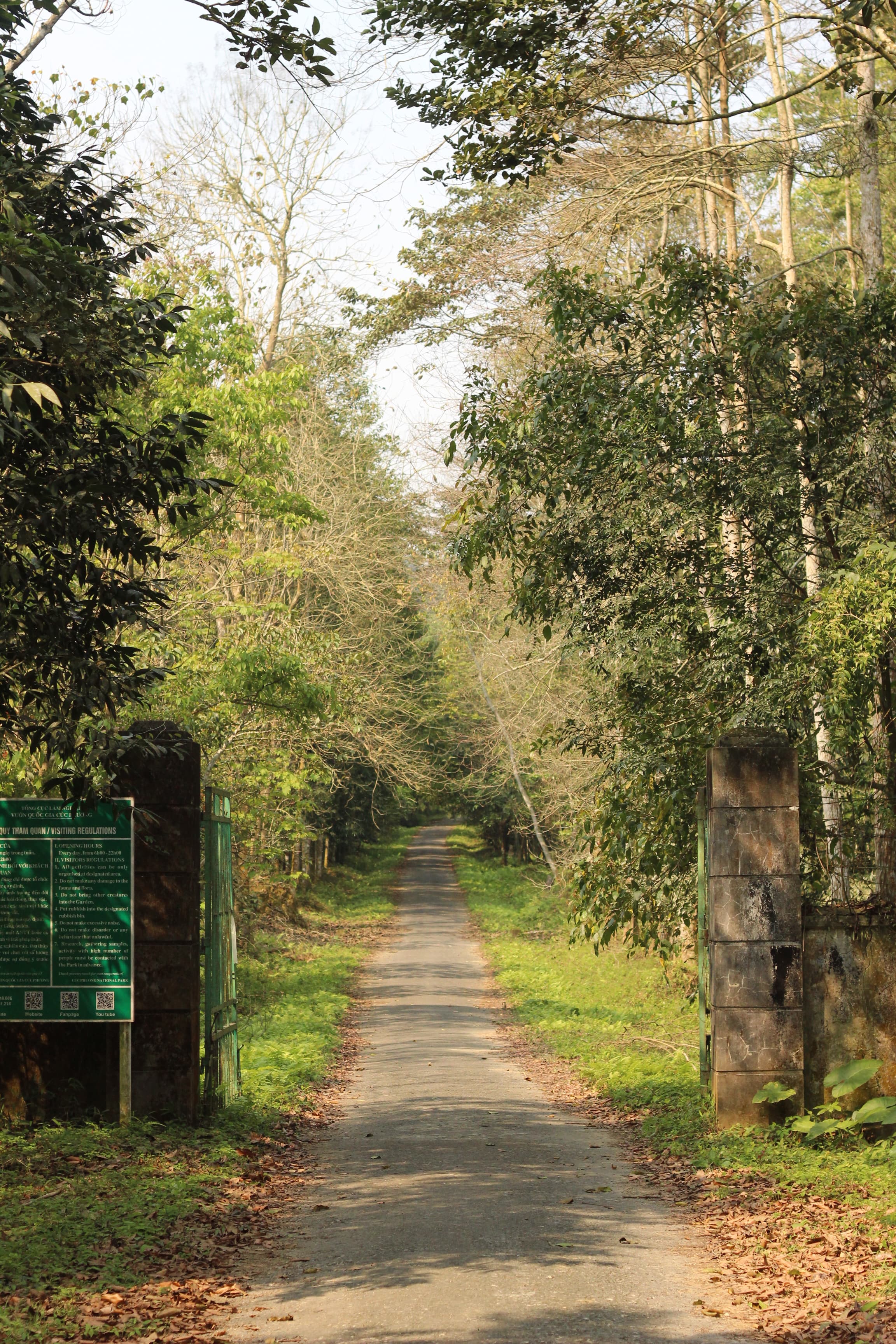 The Botanical Garden – Discovering Vietnam's Plant Biodiversity