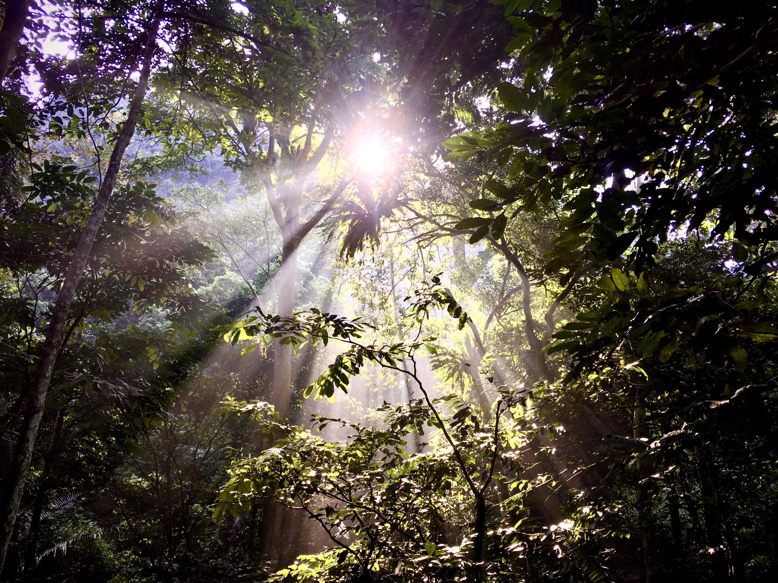 Cuc Phuong National Park