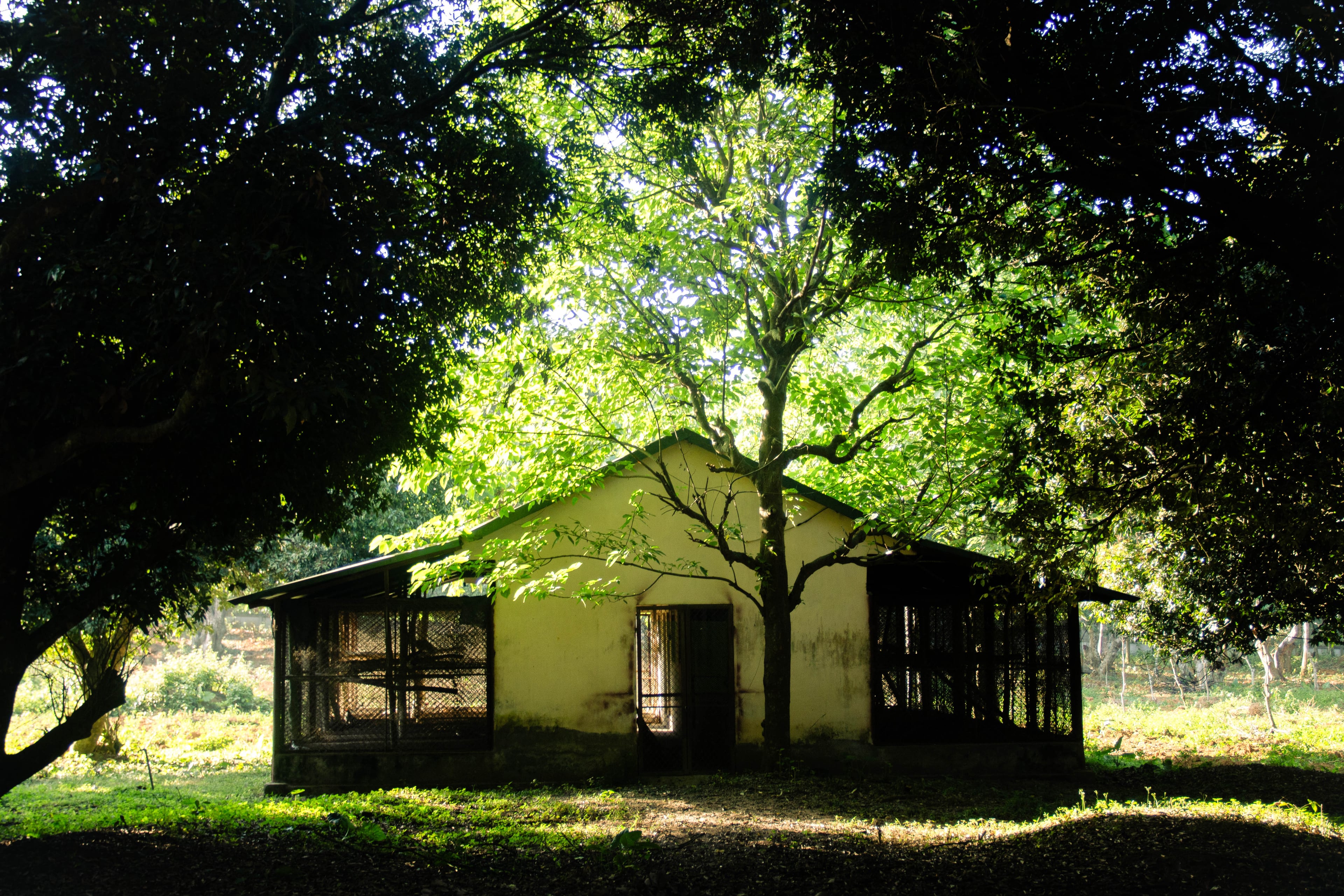 Accommodation & Food Services