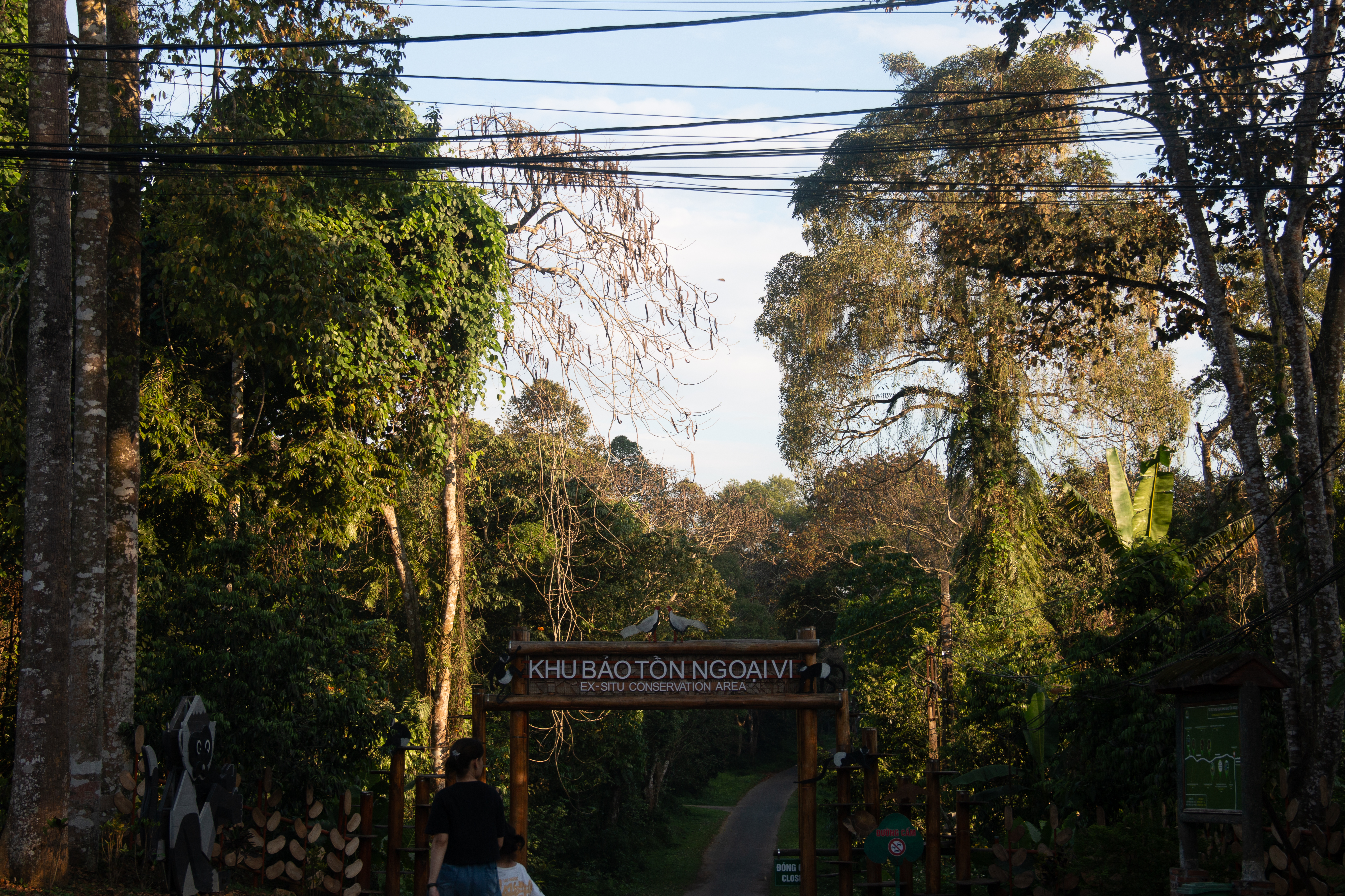 Forest Center Area